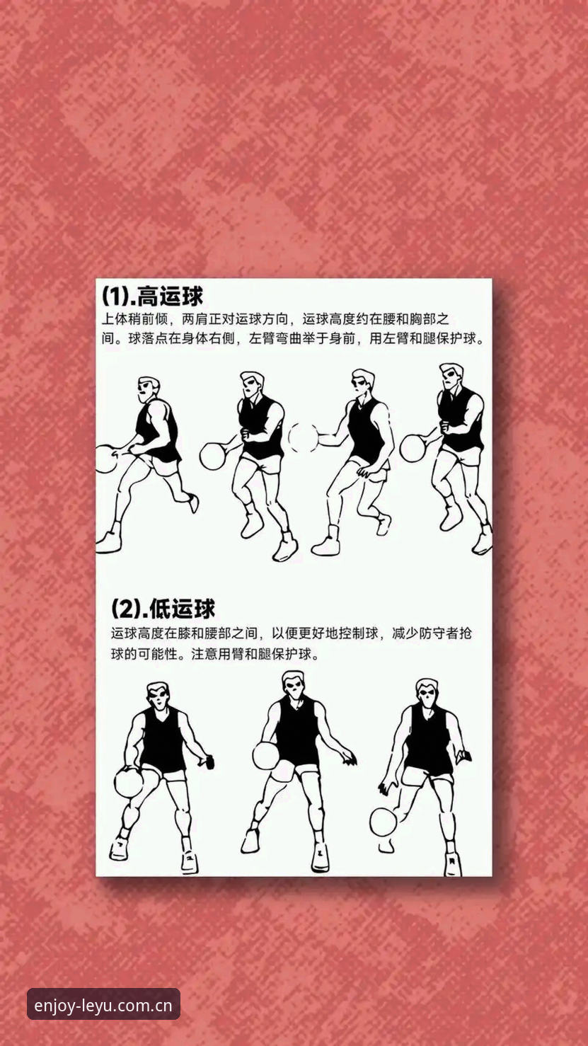 乐鱼体育竞技使用技巧：从新手到达人的实战必备知识